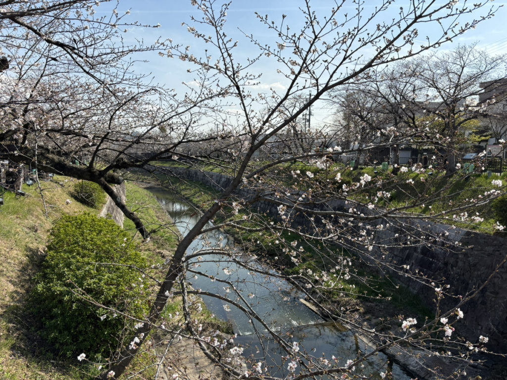 新年度に向けた抱負と大切にしていることをご報告します@瑞穂店