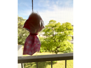 みんなのかかりつけ訪問看護ステーション植田のハピプロ
